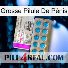 Grosse Pilule De Pénis new07